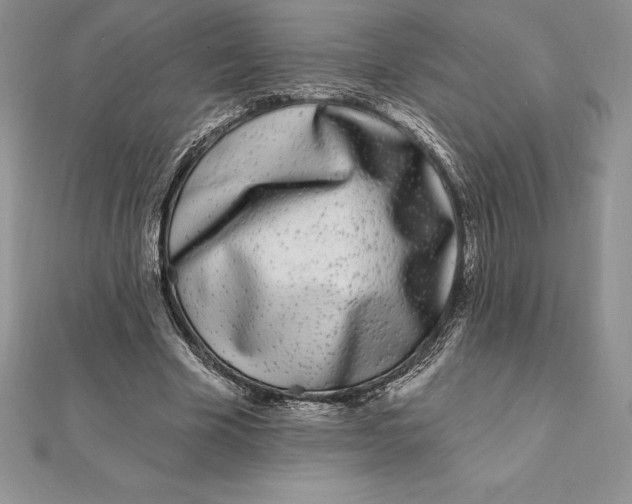 X0000112360585200909031912
