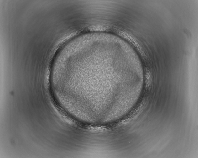 X0000112360586200909031912