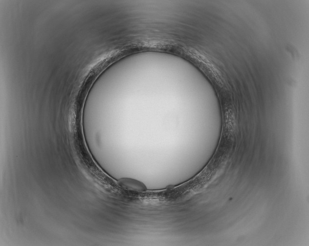 X0000112360587200909031912