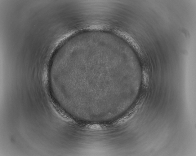 X0000112360588200909031912