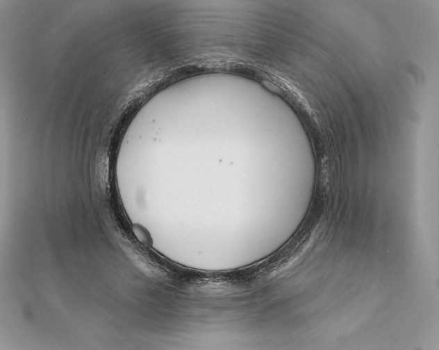 X0000112360589200909031912
