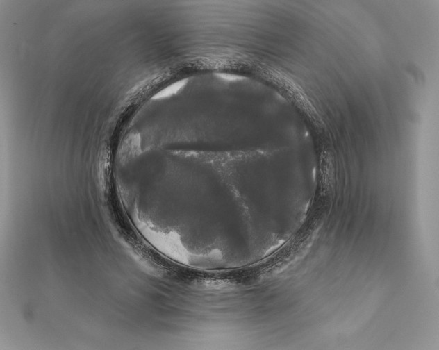 X0000112360590200909031912