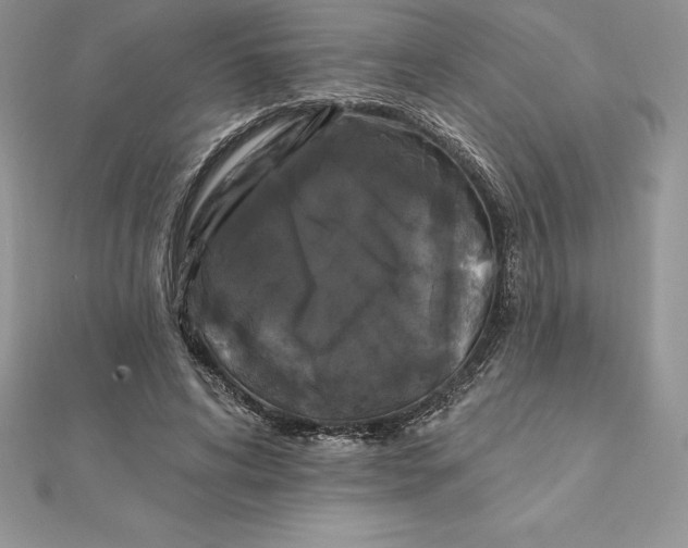 X0000112360592200909031912