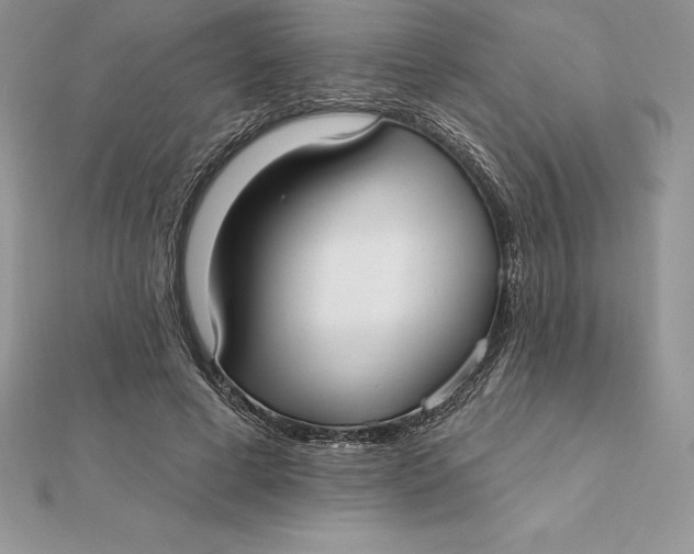 X0000112360593200909031912