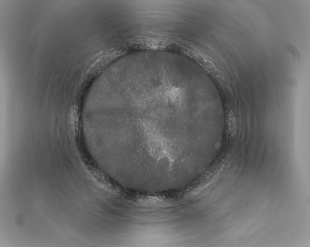X0000112360594200909031912