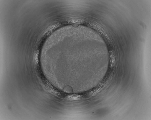 X0000112360595200909031912