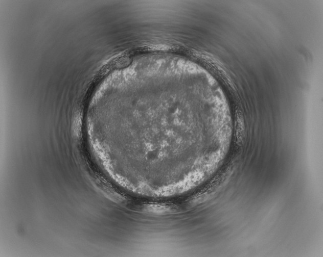 X0000112360596200909031912