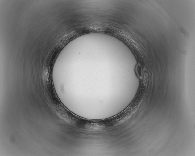 X0000112360597200909031912