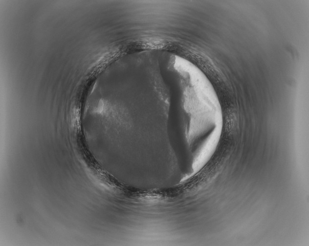 X0000112360598200909031912