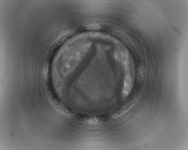 X0000112360600200909031911