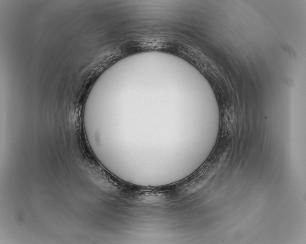 X0000112360601200909031911