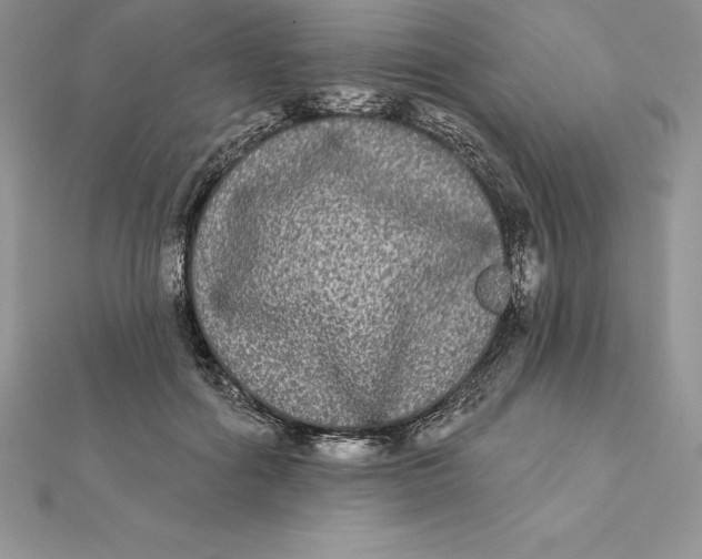 X0000112360602200909031911