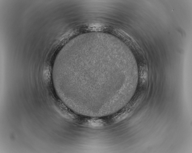 X0000112360603200909031911