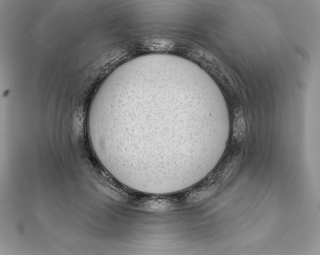 X0000112360604200909031911