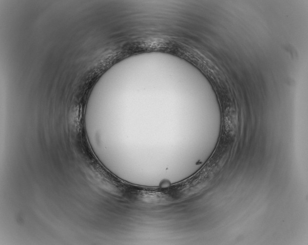 X0000112360605200909031911