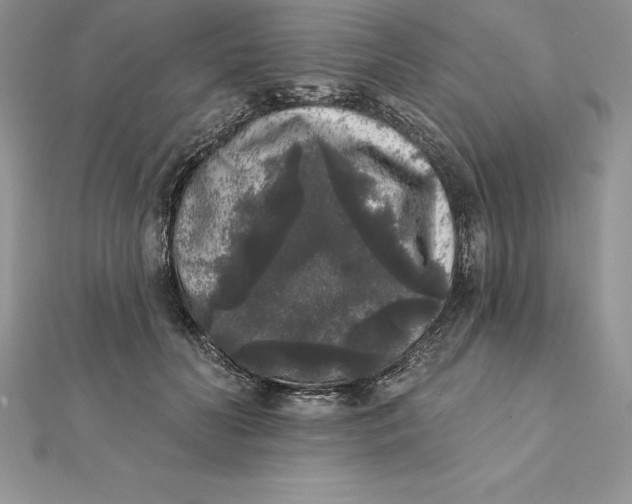 X0000112360606200909031911