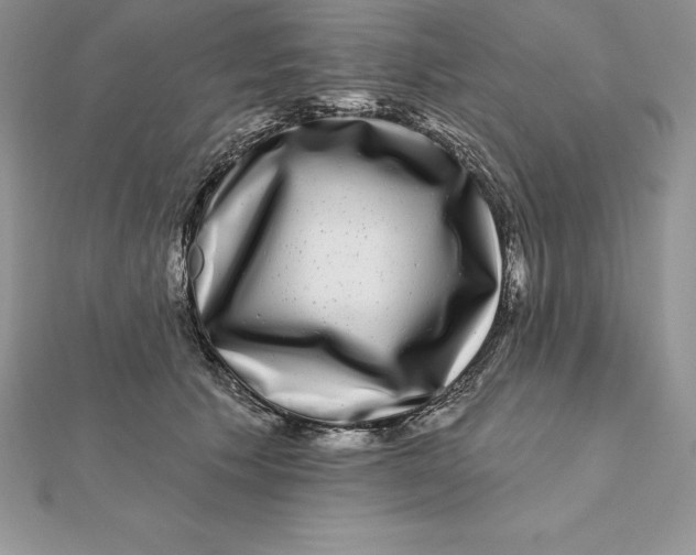 X0000112360609200909031911