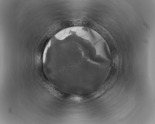 X0000112360610200909031911