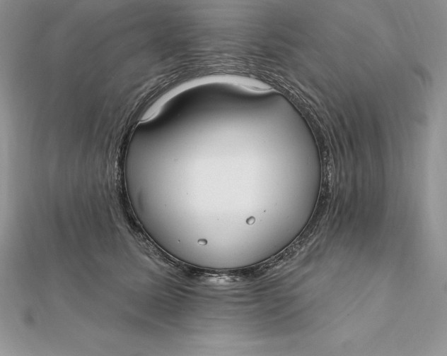 X0000112360611200909031911