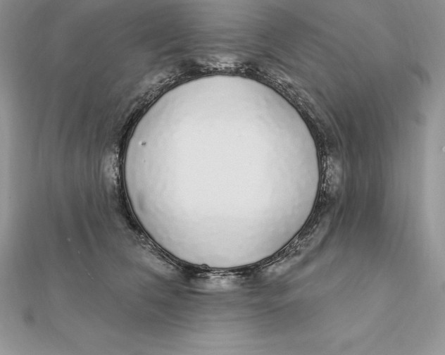 X0000112360612200909031911