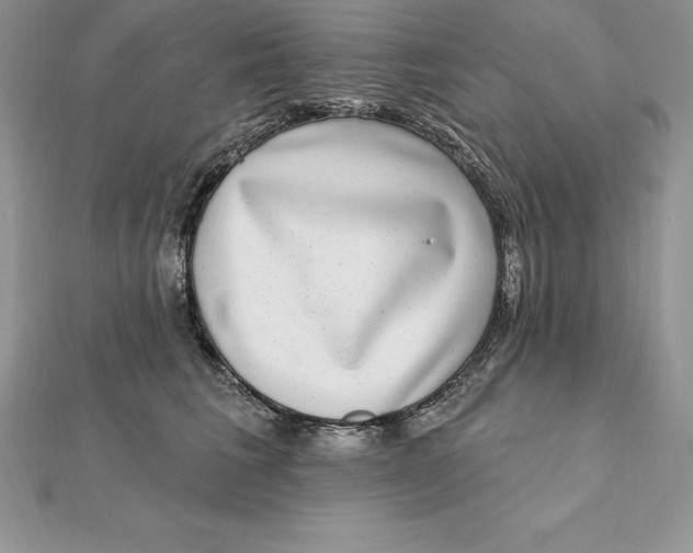 X0000112360613200909031911