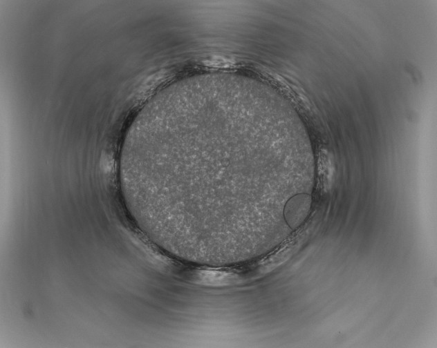 X0000112360614200909031911