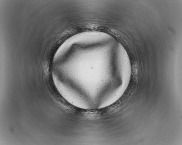 X0000112360615200909031911