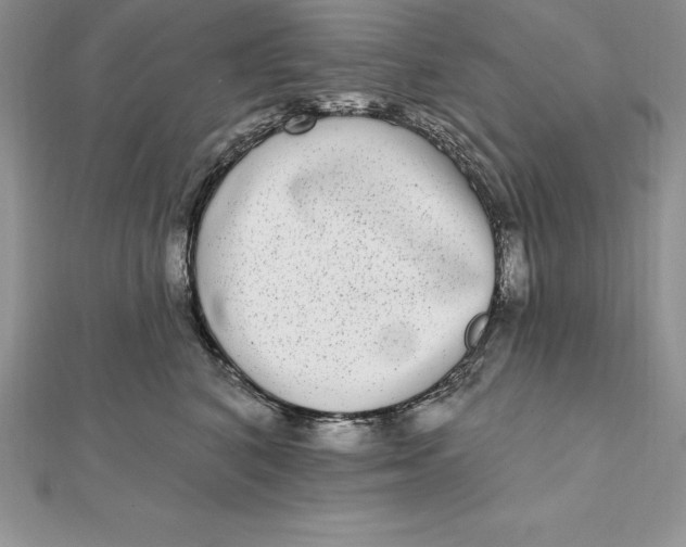 X0000112360616200909031911