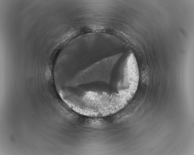 X0000112360618200909031911