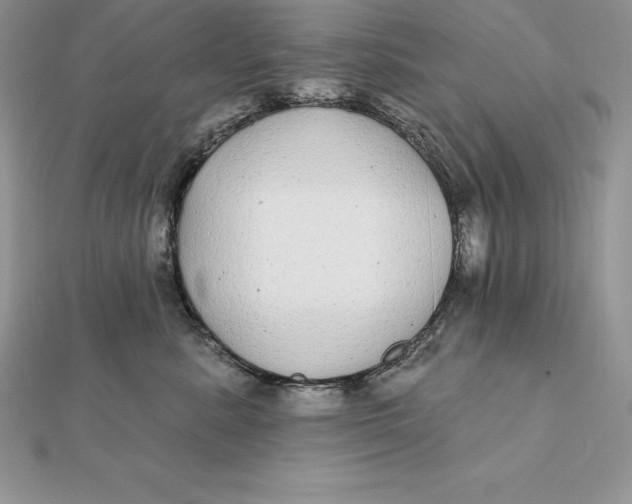 X0000112360619200909031911