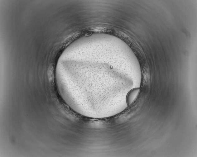 X0000112360620200909031911