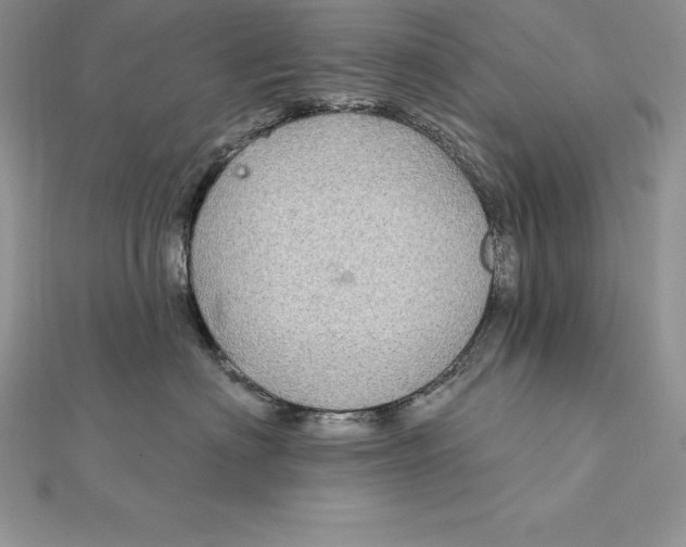 X0000112360622200909031911