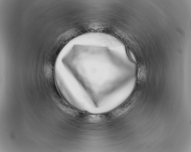X0000112360623200909031911