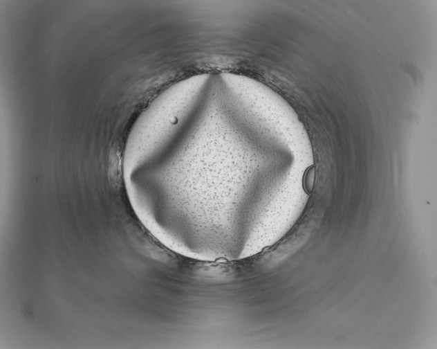 X0000112360624200909031911