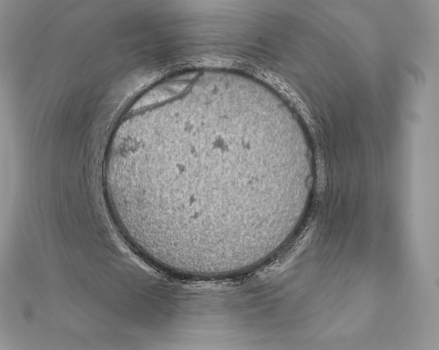 X0000112360625200909031910