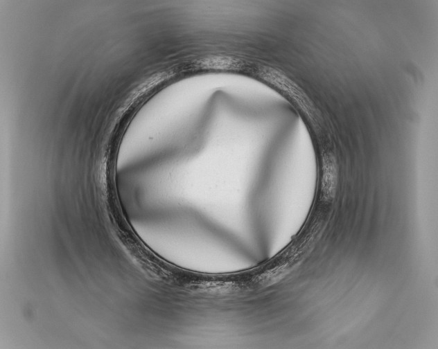 X0000112360626200909031910