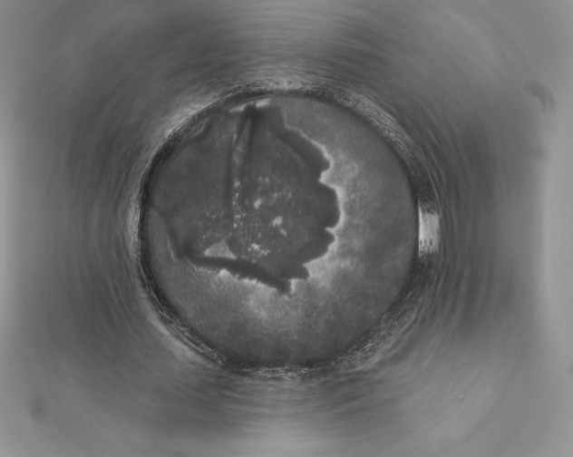 X0000112360627200909031910