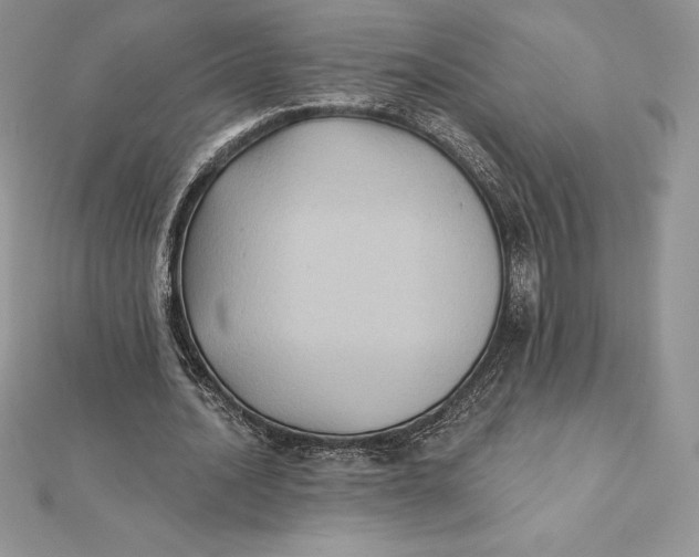 X0000112360628200909031910