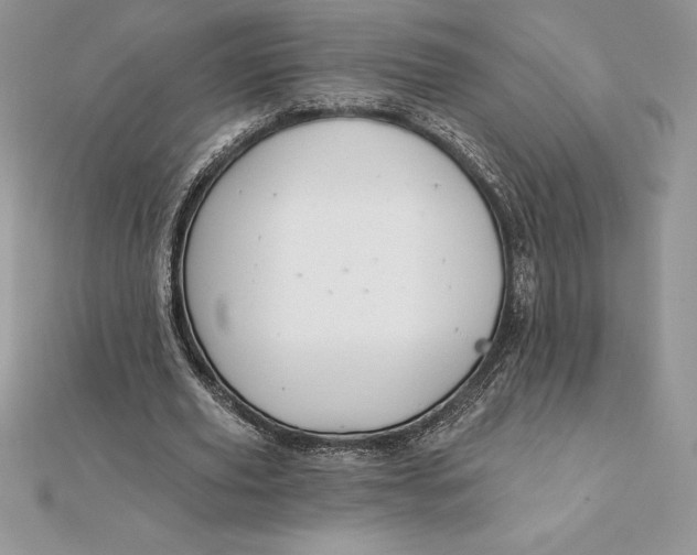 X0000112360629200909031910