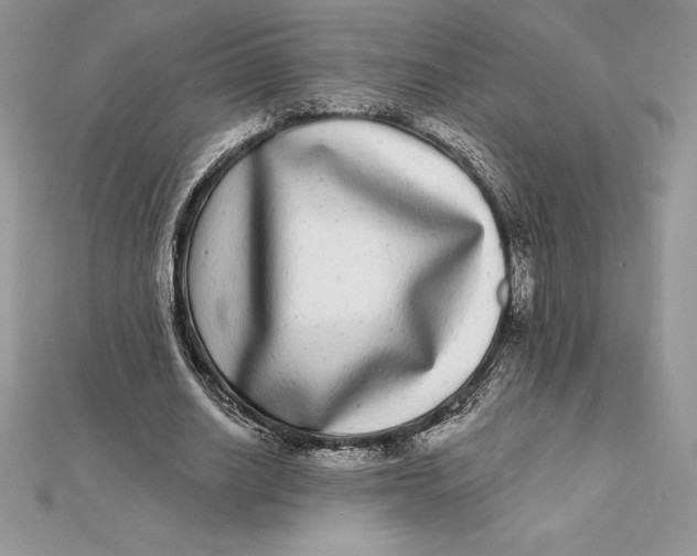 X0000112360630200909031910