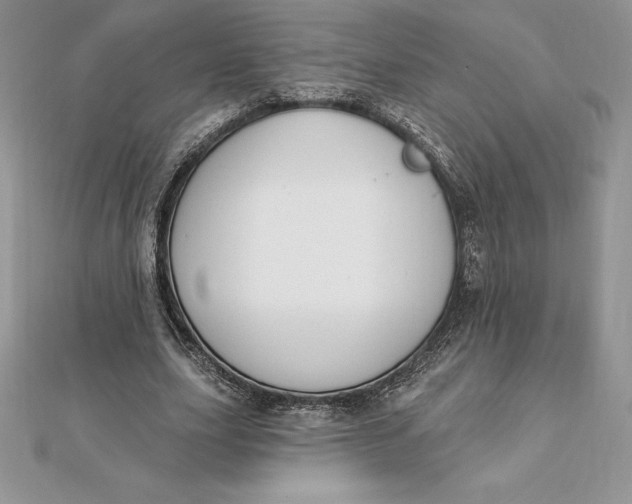 X0000112360631200909031910