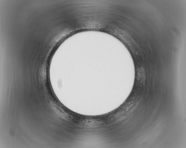 X0000112360632200909031910