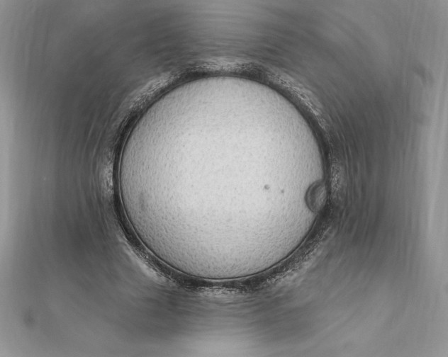 X0000112360633200909031910