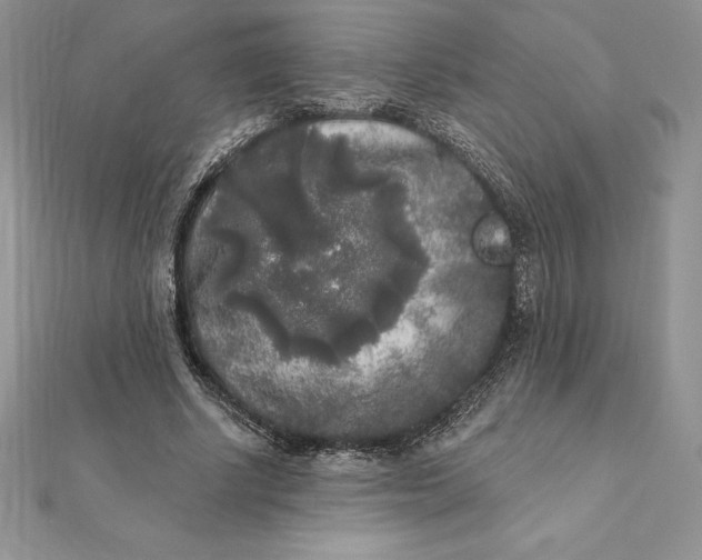 X0000112360634200909031911