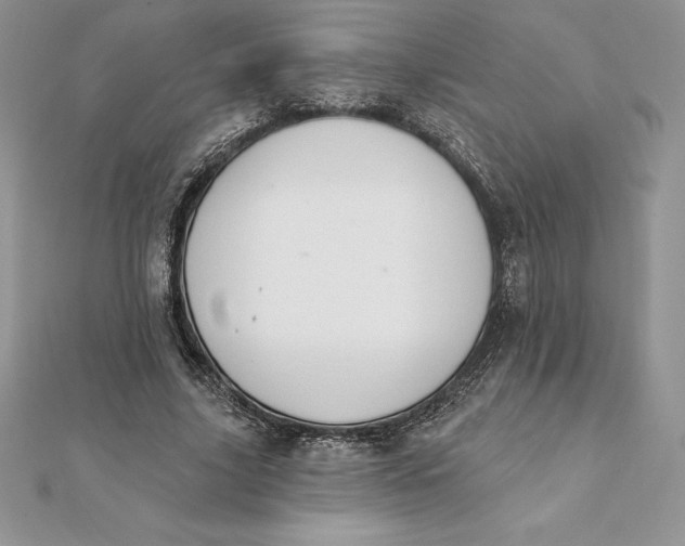 X0000112360635200909031911