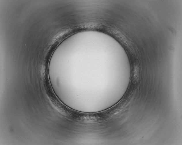 X0000112360636200909031911