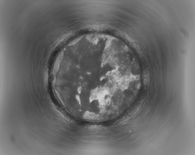 X0000112360637200909031911