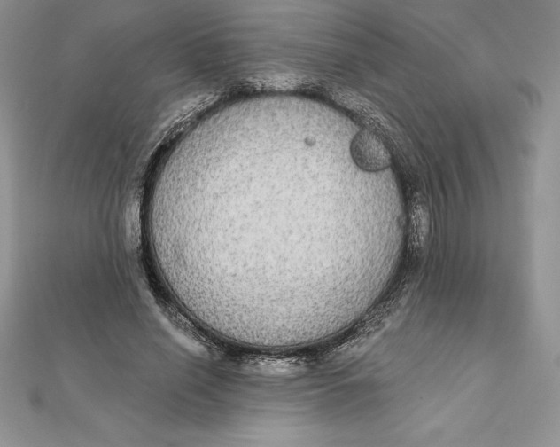 X0000112360638200909031911