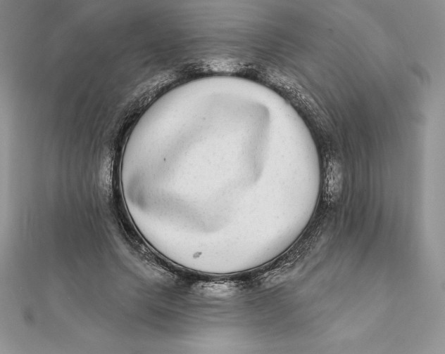 X0000112360639200909031911