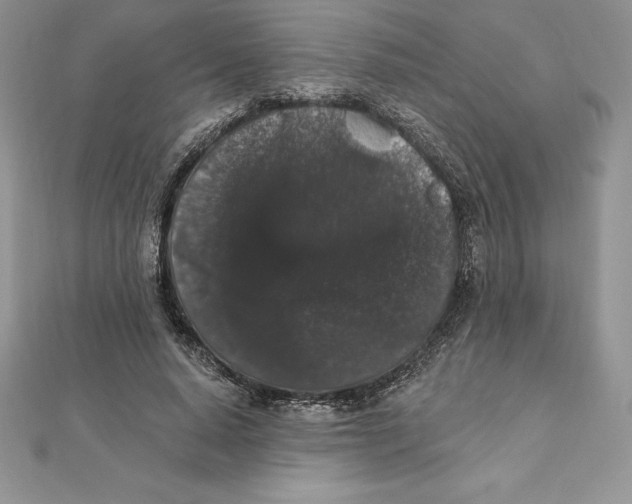 X0000112360640200909031911